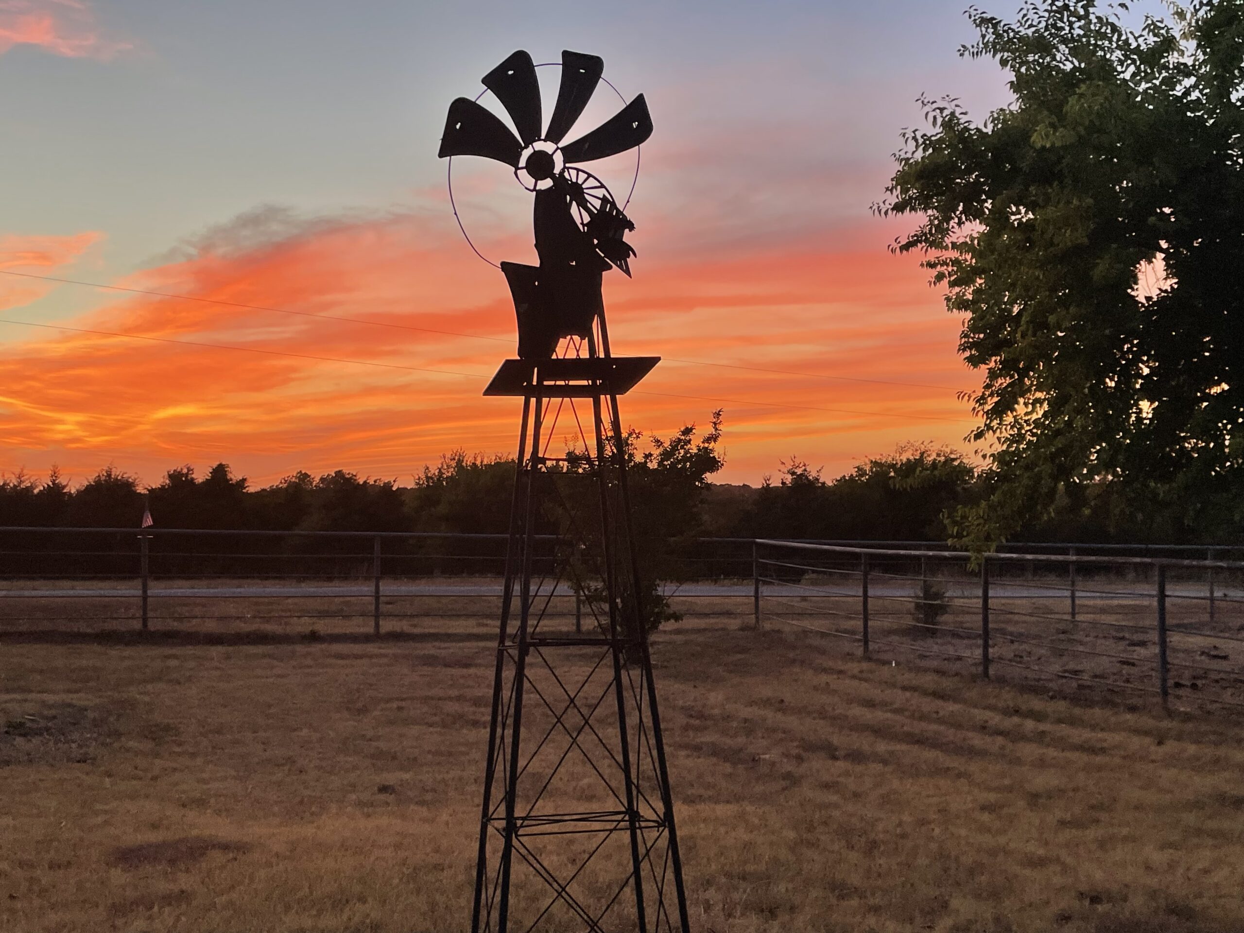 Living in the Valley of Disappointment